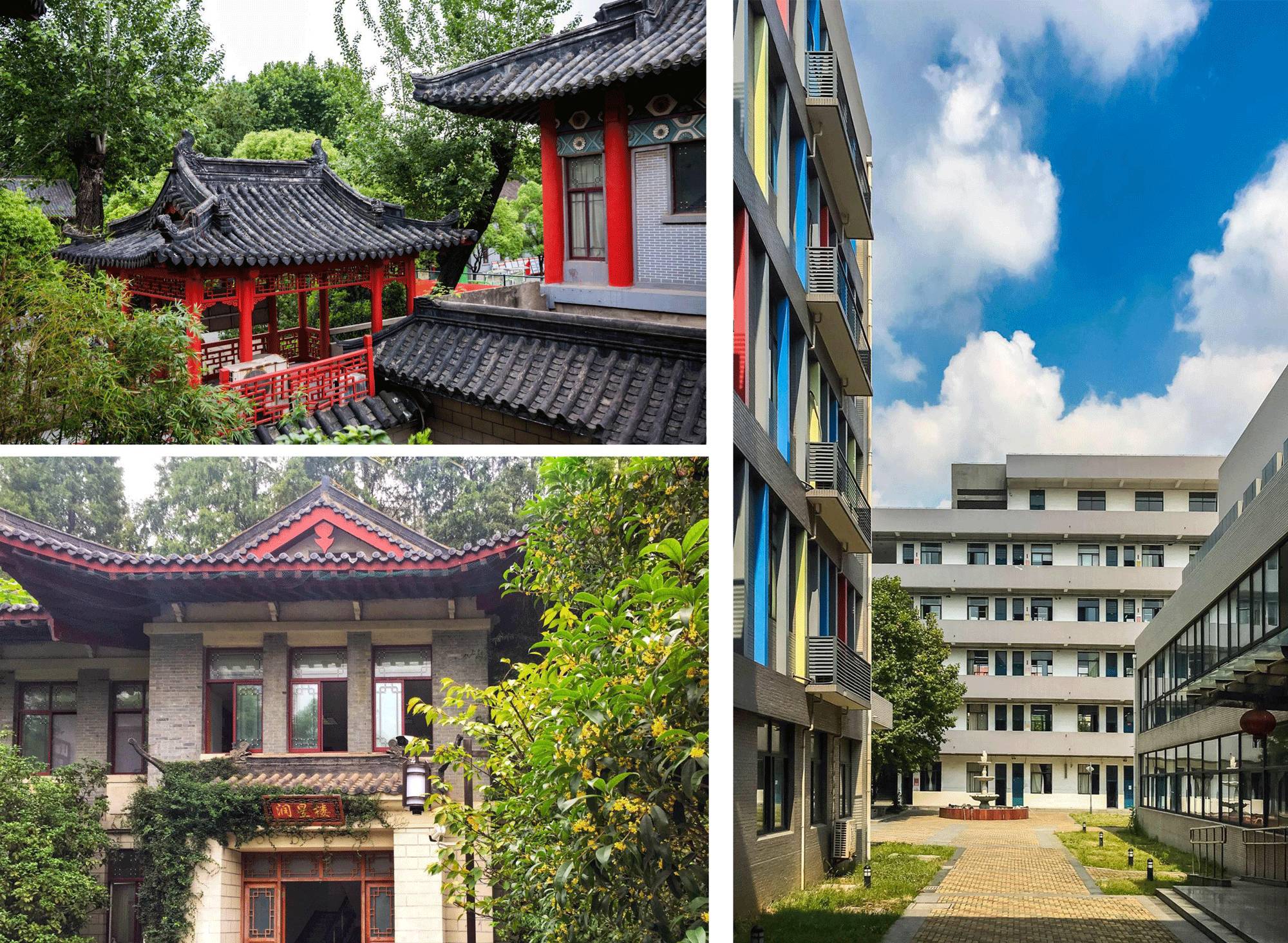 南京十二中考入清华,南京市十二中百年校庆同学录