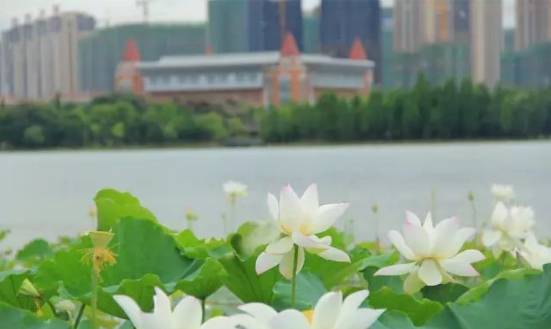 26个字母,让你更加了解赣州!爱上赣州!