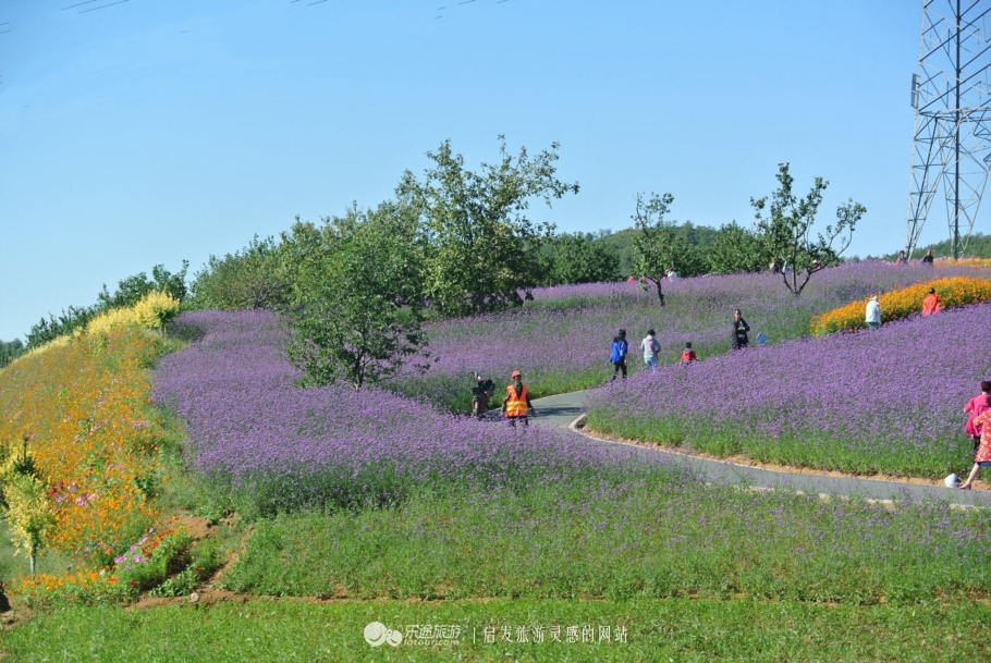 秦皇岛市海港区怎么成了“朝颜”？