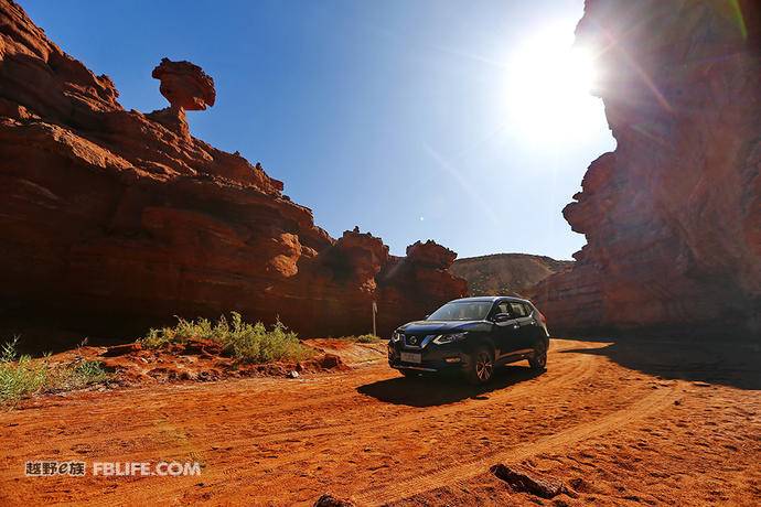 全新东风日产奇骏,日产新奇骏展示