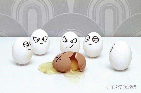 蛋碎了有多疼你知道吗?蛋蛋受伤虽然没有生孩子疼,但是也很要命啊!