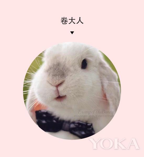 最近很火的小安瓶怎么样,最火安瓶