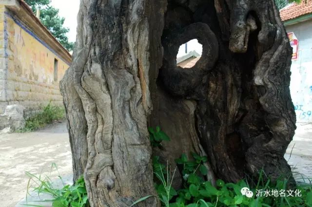 富官庄镇石壁崖路线,沂水尹家峪旅游攻略