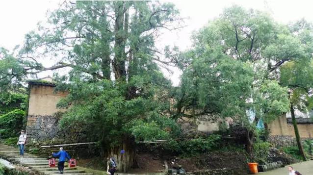 走不完的山川大地,走不完的川西看不完的美景
