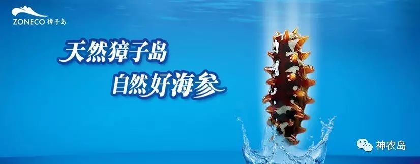 娄向鹏农业发展,娄向鹏简历