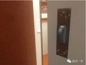 盛诺一家出国看病费用,出国看病为什么要找盛诺一家