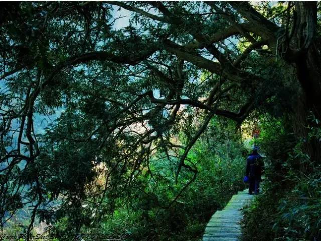 走不完的山川大地,走不完的川西看不完的美景