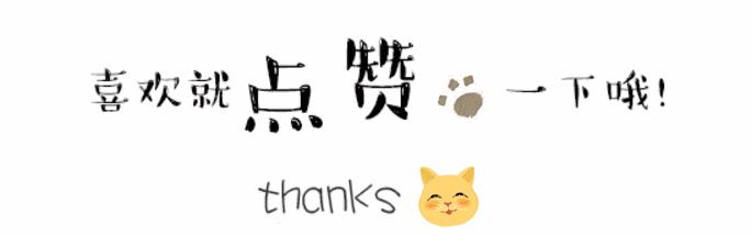 小记者实践体验,小记者实践体验活动