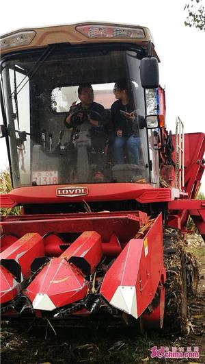 雷沃中原一号玉米机,体验雷沃