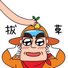 刘雯唐嫣包包,刘雯唐嫣最新消息