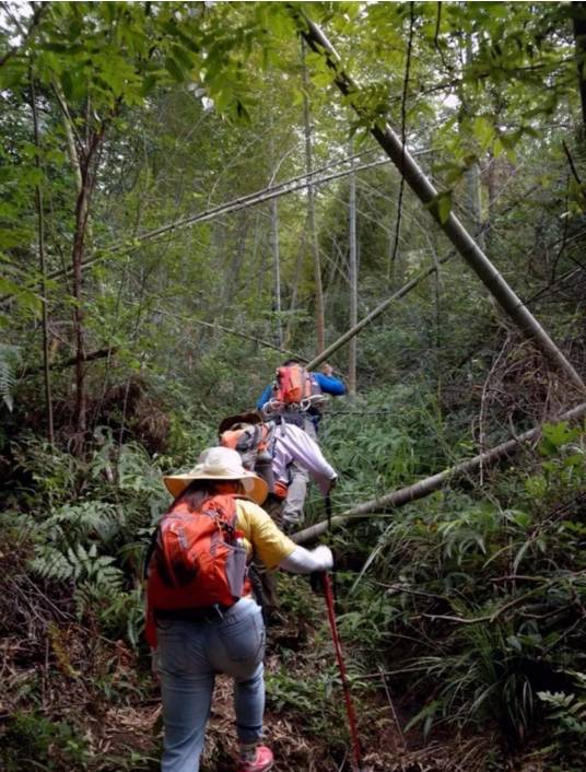 走不完的山川大地,走不完的川西看不完的美景