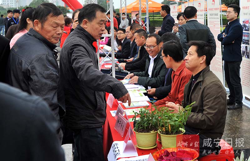 精准扶贫我们携手同行开放日活动,精准扶贫活动暖人心