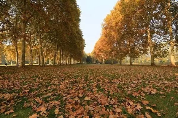 这些令人不可思议的冷知识,这些奇特的冷知识你们知道吗