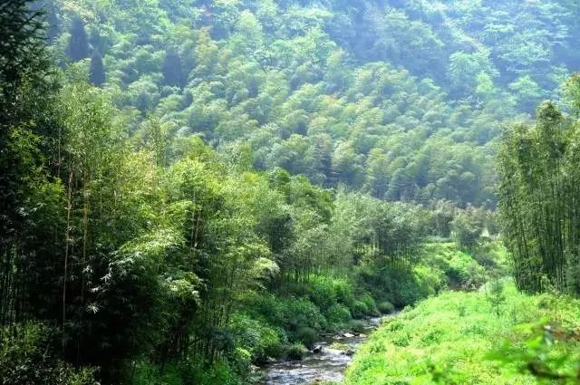 幸福美丽新村建设内容,建设幸福美丽新村的方案