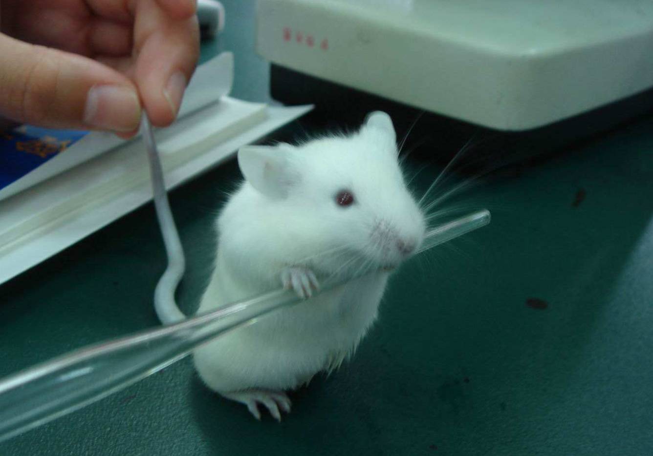 如何用最短的时间读完硕士和博士,硕士到博士的亲身经历