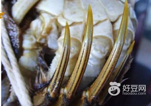 大闸蟹挑选小技巧,怎么挑选大闸蟹小妙招