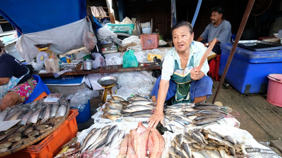 坐着小马车去赶集,坐着大巴去赶集
