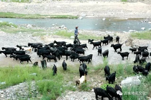 富官庄镇石壁崖路线,沂水尹家峪旅游攻略