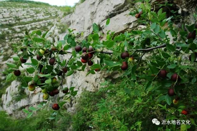 富官庄镇石壁崖路线,沂水尹家峪旅游攻略