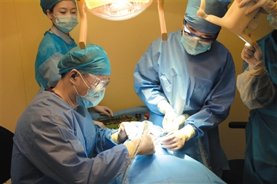 牙槽骨吸收最佳方法,牙槽骨吸收严重怎么种牙