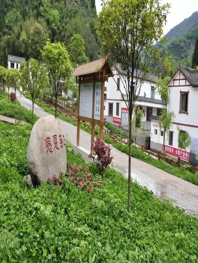 幸福美丽新村建设内容,建设幸福美丽新村的方案