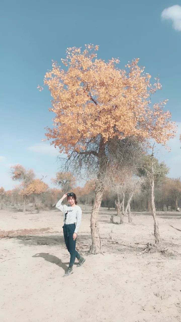 逃离阴雨缠绵的上海,说走就走的3日*疆新**胡杨游你想试试吗?|附攻略