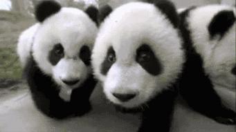 閽﹀窞璺戞璺嚎,閽﹀窞涓北鍏洯璺戞