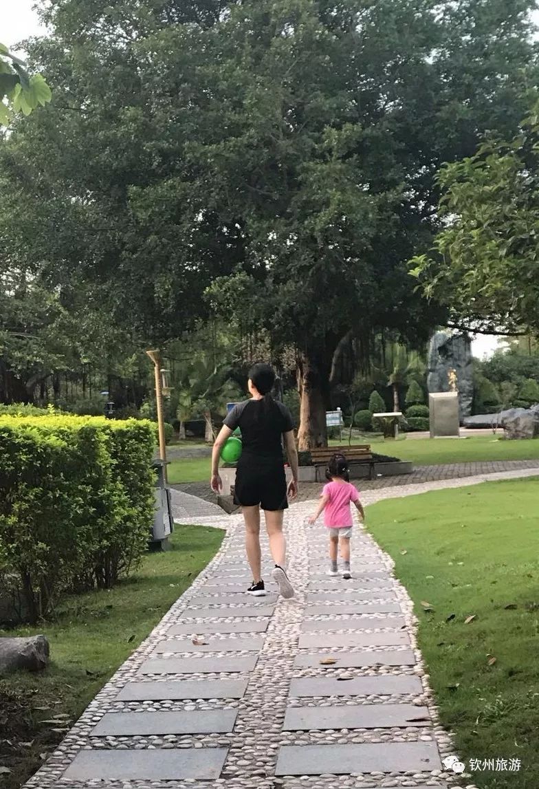 閽﹀窞璺戞璺嚎,閽﹀窞涓北鍏洯璺戞