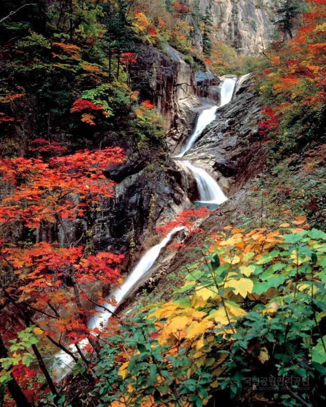 又是一年赏枫季,又是一年赏秋季