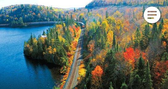 又是一年赏枫季,又是一年赏秋季