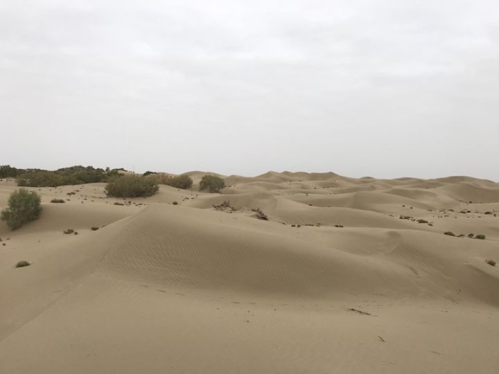 逃离阴雨缠绵的上海,说走就走的3日*疆新**胡杨游你想试试吗?|附攻略