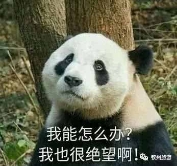 閽﹀窞璺戞璺嚎,閽﹀窞涓北鍏洯璺戞