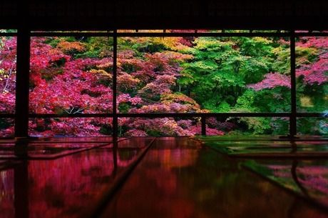 又是一年赏枫季,又是一年赏秋季