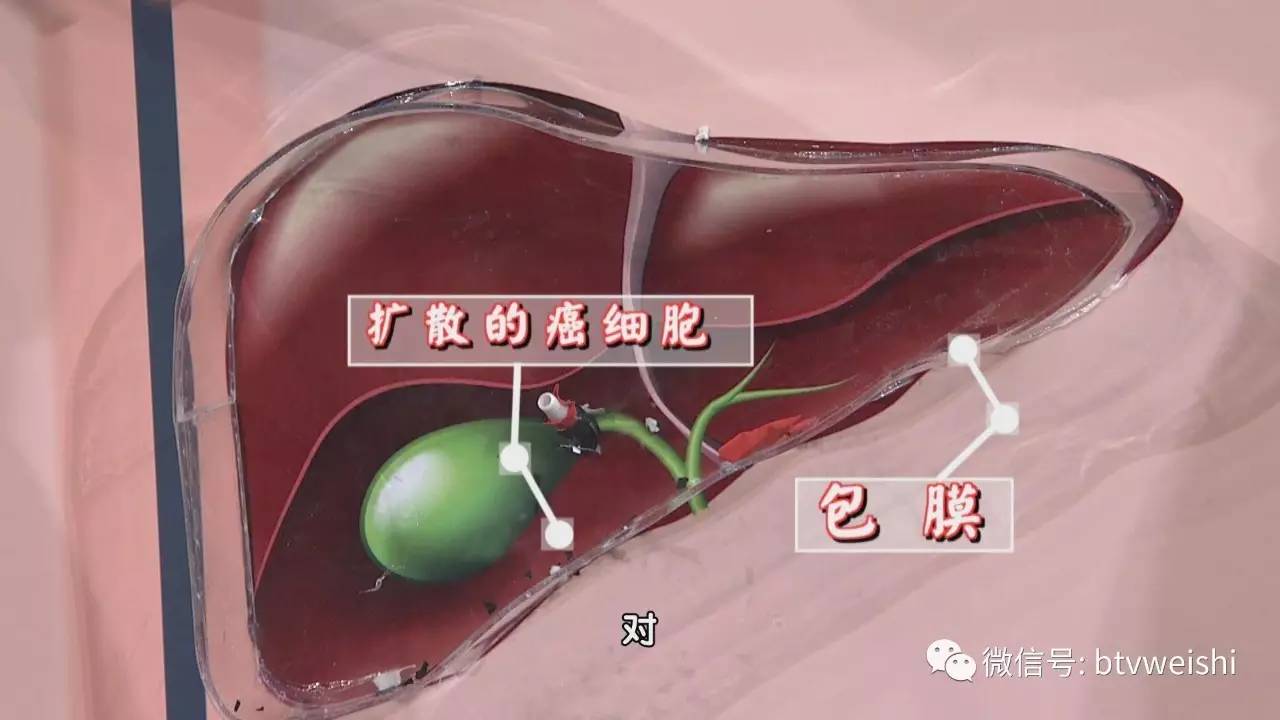 养生堂2018全部视频中医,养生堂2019中医