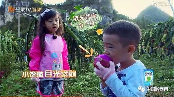 2022年万峰林机场航班时刻表,万峰林机场航班时刻表2023