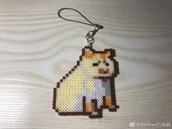 俊介犬舍推荐,俊介犬猫