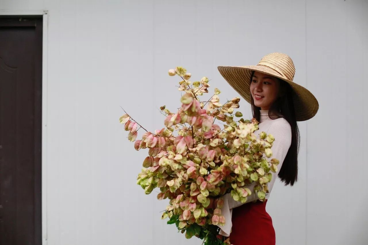 花田里逛了3小时，花材、花束、年度美照都有了