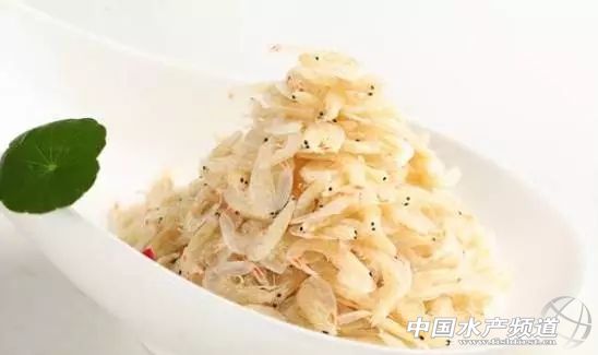 虾类有几千种，你又认识几种？