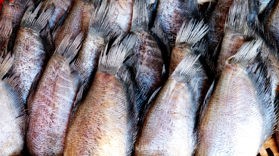 坐着小马车去赶集,坐着大巴去赶集