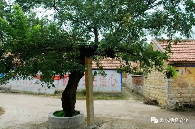 富官庄镇石壁崖路线,沂水尹家峪旅游攻略