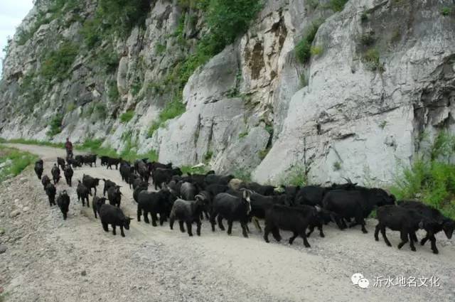 富官庄镇石壁崖路线,沂水尹家峪旅游攻略