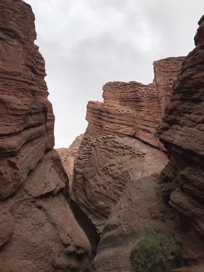 逃离阴雨缠绵的上海,说走就走的3日*疆新**胡杨游你想试试吗?|附攻略
