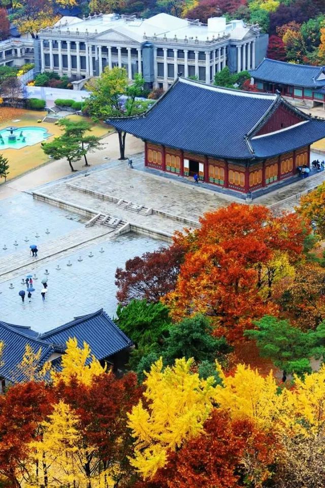 又是一年赏枫季,又是一年赏秋季