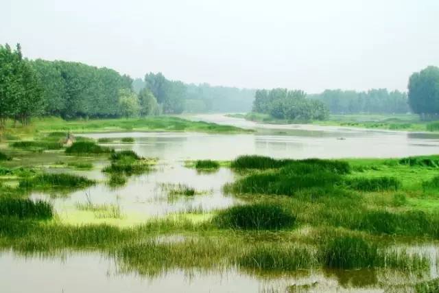 这些令人不可思议的冷知识,这些奇特的冷知识你们知道吗