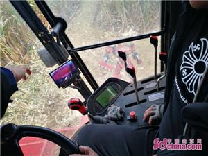 雷沃中原一号玉米机,体验雷沃