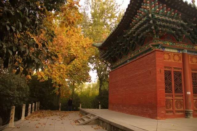 这些令人不可思议的冷知识,这些奇特的冷知识你们知道吗