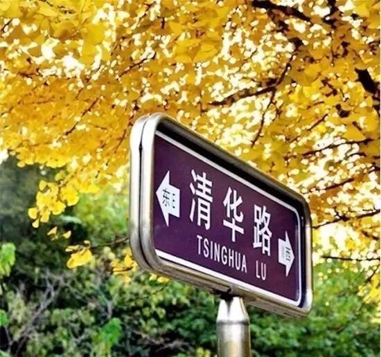 「夜读」“北平之秋便是人间天堂!”秋天的北京美成这样,难怪老舍如此盛赞……(有声朗读)