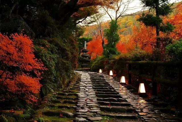 虹夕诺雅酒店测评,庐山虹夕诺雅酒店