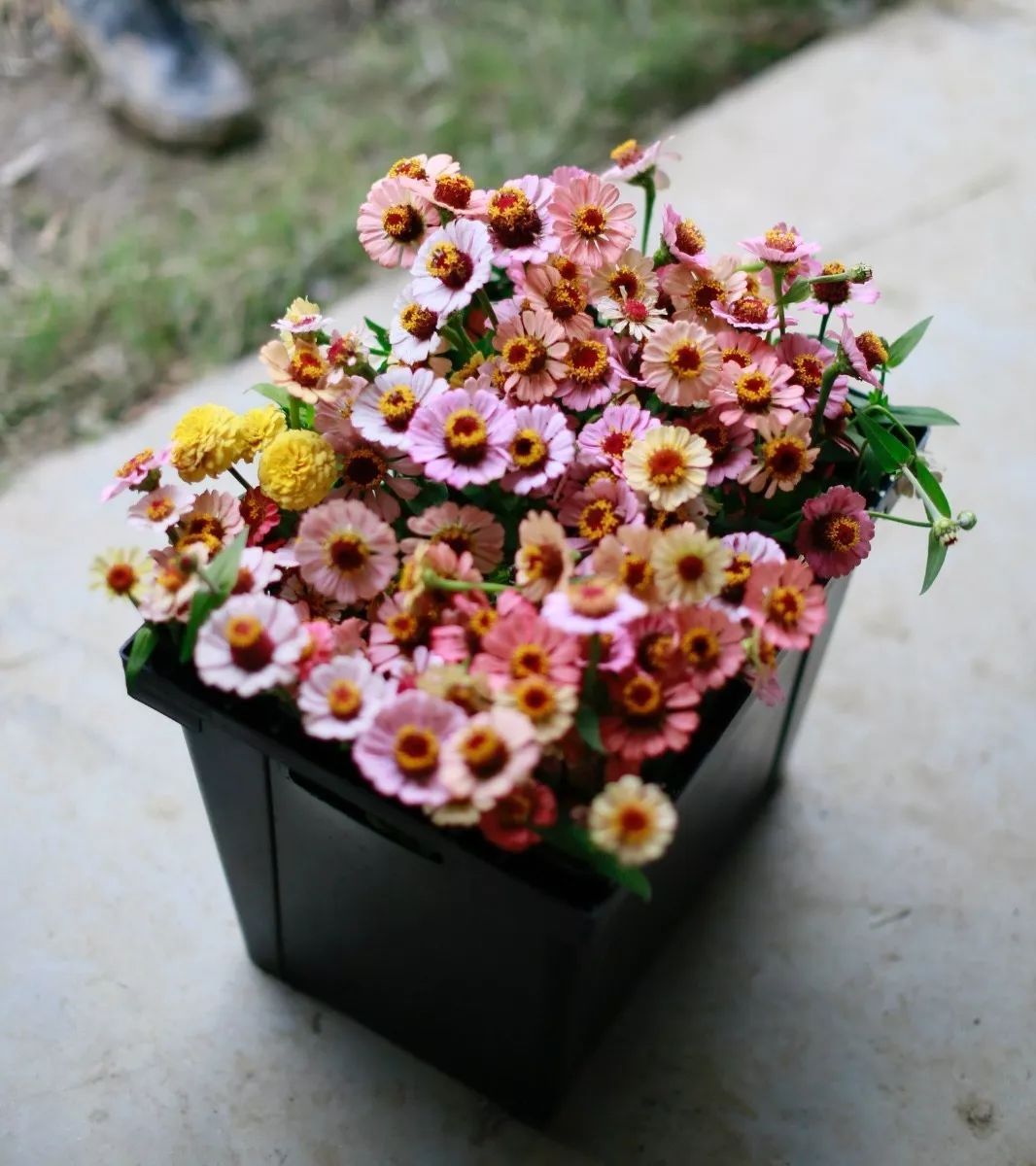 花田里逛了3小时，花材、花束、年度美照都有了