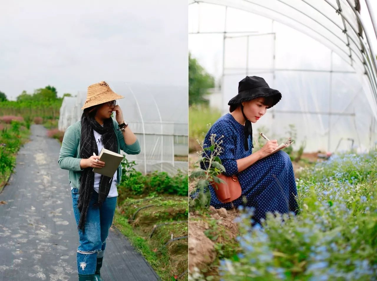 花田里逛了3小时，花材、花束、年度美照都有了